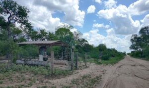 IMG_20241104_134643178_HDR